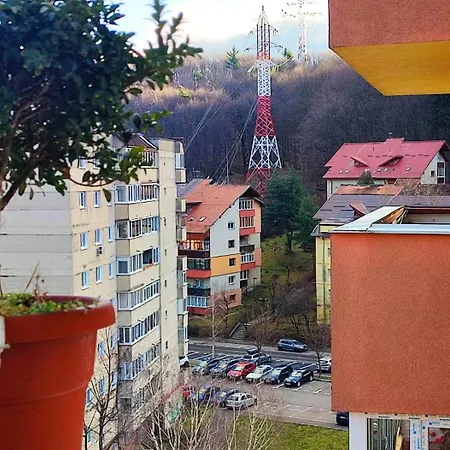 Homestay In Brasov